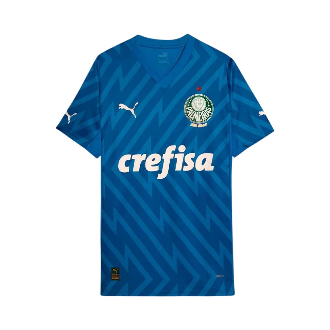 Camisa Palmeiras Goleiro 24/25 Home